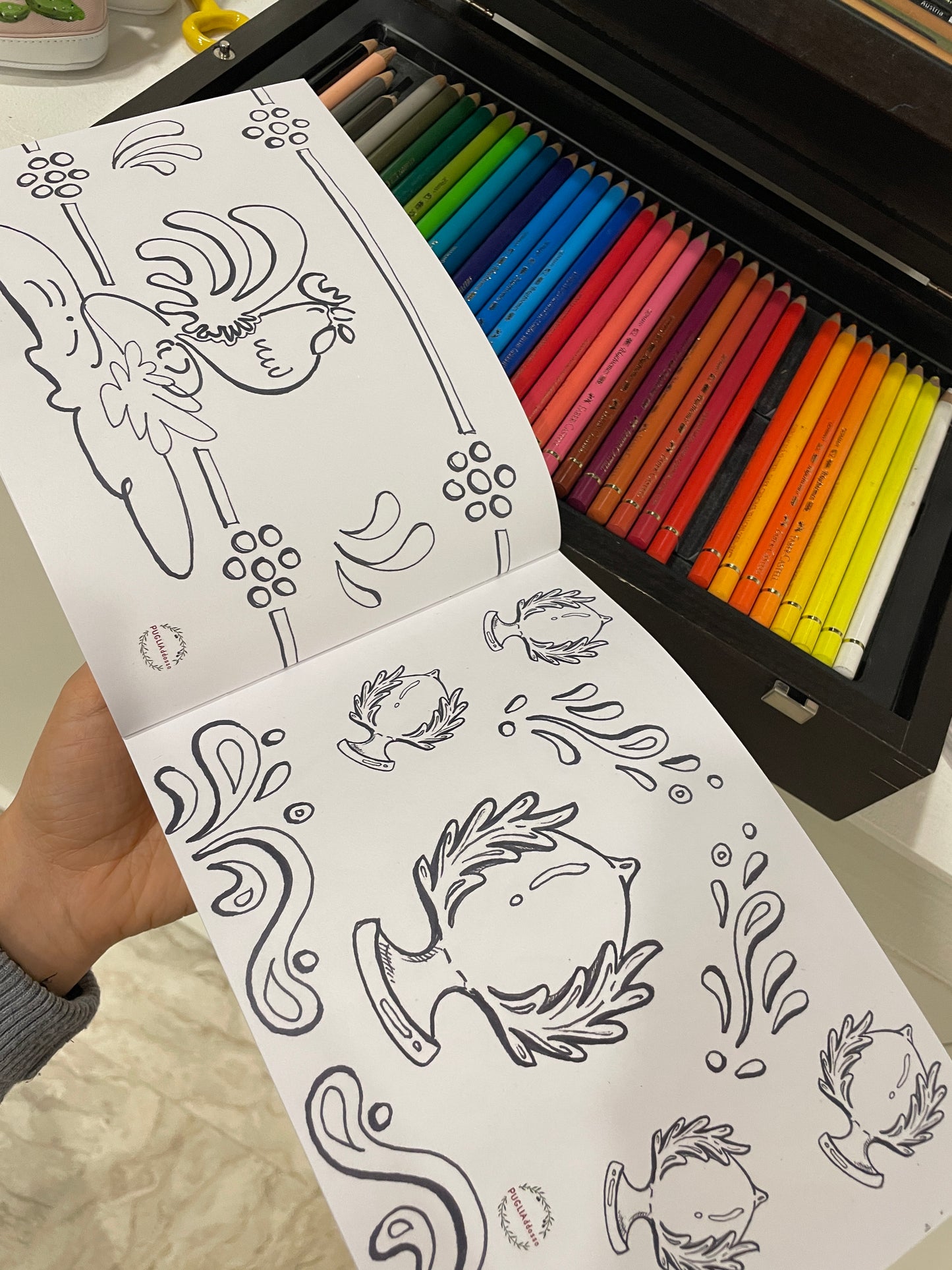 Libro da colorare